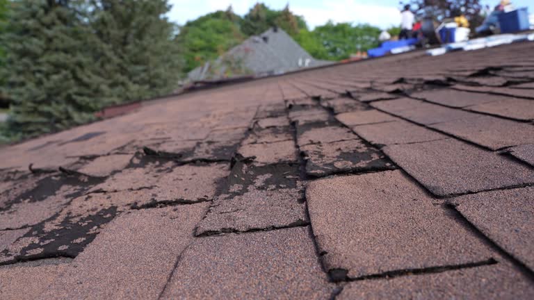 Best Roof Leak Repair  in East Canton, OH